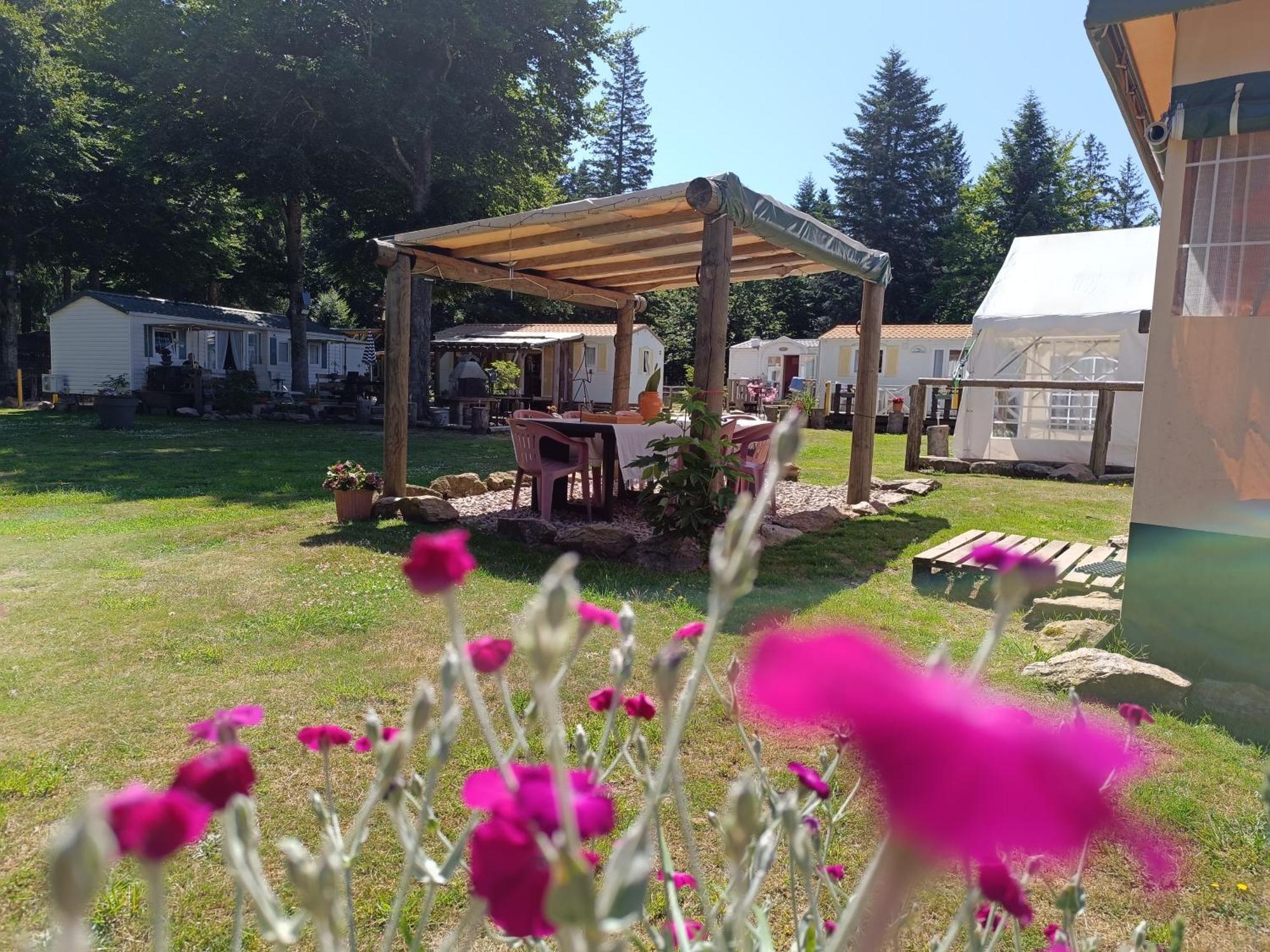 Campsite Le Sous Bois De Jade Chemin De Stevenson Gr 70 *
