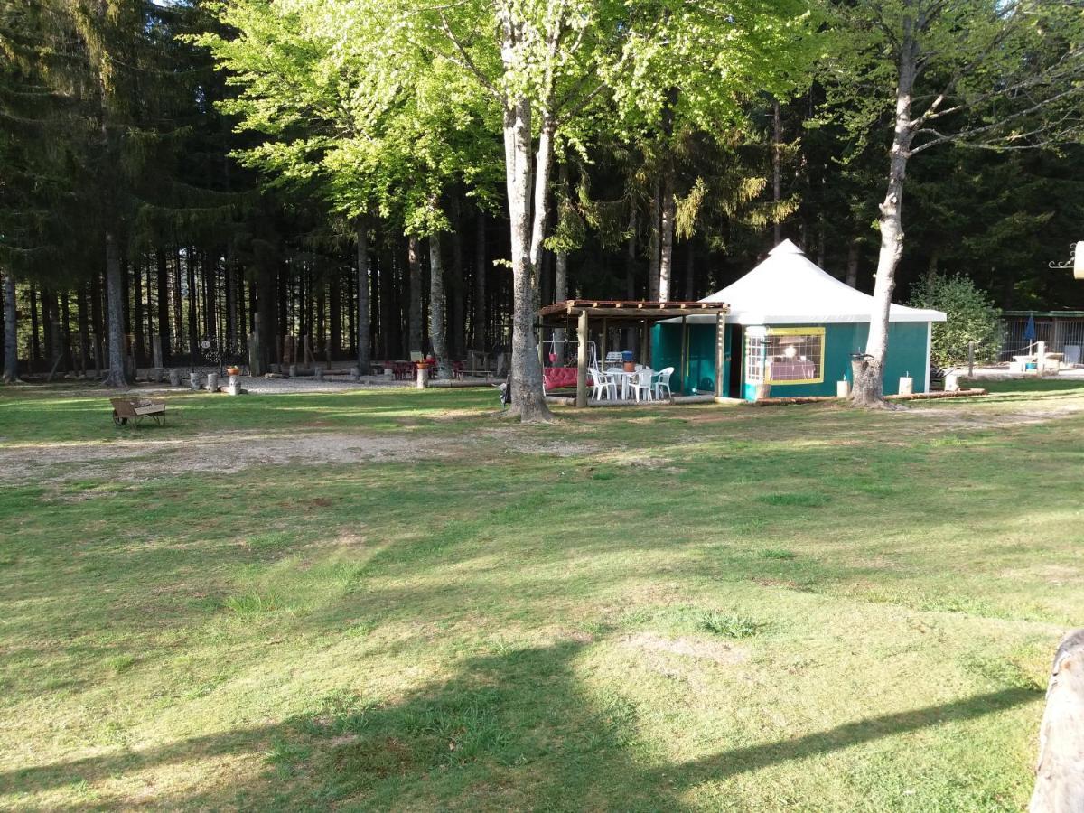 Le Sous Bois De Jade Chemin De Stevenson Gr 70 Campsite *